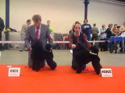 Torphan's Valley - paris2011